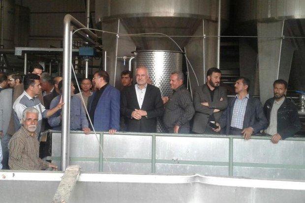 تگرگ به 2000 هکتار باغ های انگور شاهرود خسارت وارد کرد تگرگ به 2000 هکتار باغ های انگور شاهرود خسارت وارد کرد