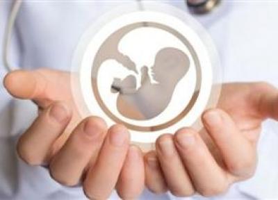 کاهش مدت انتظار بارداری در سنین بالاتر، حفظ باروری از طریق فریز تخمک امکان پذیر است