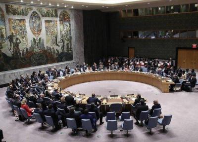 پیش نویس قطعنامه تونس درباره کرونا روی میز شورای امنیت