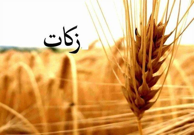 کرمانشاهیان سال گذشته 25 میلیارد تومان زکات پرداخت کردند کرمانشاهیان سال گذشته 25 میلیارد تومان زکات پرداخت کردند