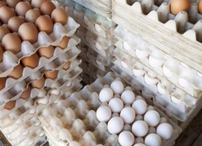 ضدعفونی تخم مرغ های بسته بندی شده با فناوری