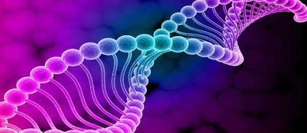 تحقق طبقه بندی ژن های انگیزاننده سرطان